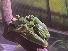 -正佳雨林生态植物园