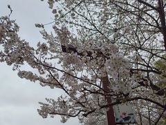 -堤角公园