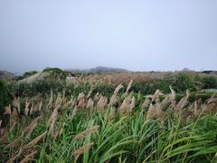 -东极岛景区