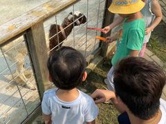 -前小桔亲子创意农场·草莓采摘·露营烧烤