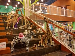店内环境-Behring World of Animals(上海自然博物馆店)