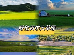 -呼伦贝尔大草原
