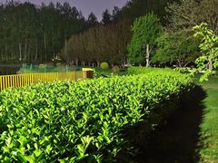 -仁和公园(顺义区)