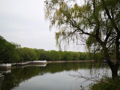 -北陵公园