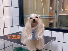 -仁普宠物诊所(住友昌盛新苑店)