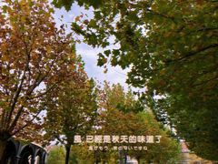 -天津五大道文化旅游区