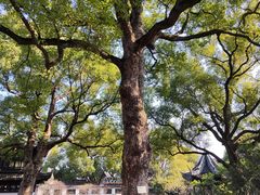 -惠山古镇·寄畅园