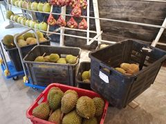 大堂-都念榴莲·城市榴莲