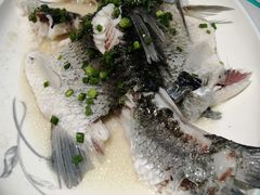 清蒸山坑皖鱼-猪腰一家·地道佛山菜(盐步店)