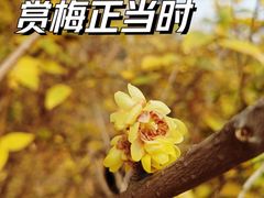-塔子山公园