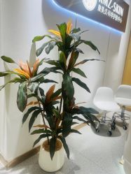 -康美贞·痘肌养护管理中心