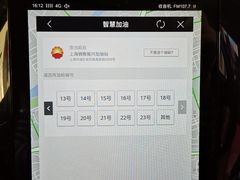 -中国石油加油站(严桥路站)
