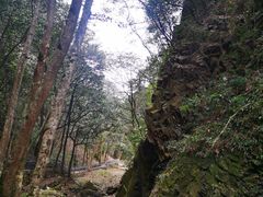 -五泄景区