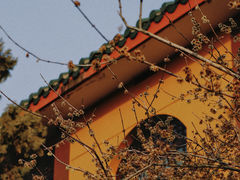 -高旻寺