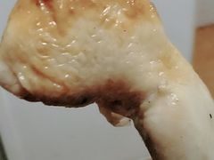 -吴山烤禽 (吴山路店)
