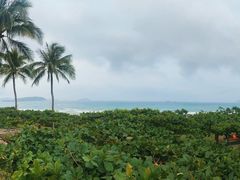 -三亚亚龙湾天域度假酒店