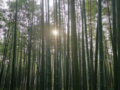 -天目湖御水温泉·度假酒店