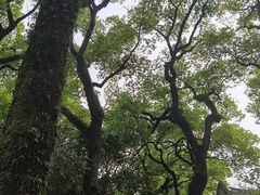 -天一阁博物院