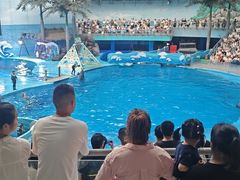 -海合安成都极地海洋公园
