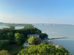-大湾区中央湿地公园