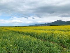 -扁都口生态休闲旅游区