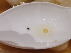 -白金汉爵大酒店-24小时餐厅