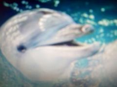 -苏州海洋馆