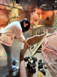 -Zoolung Zoolung动物主题公园(海信广场店)