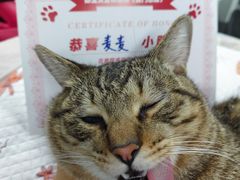 -御宝贝24h宠物医院·转诊中心·CT核磁血透中心(厦门总院)