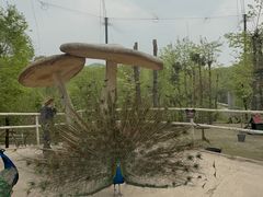 -哈尔滨北方森林动物园