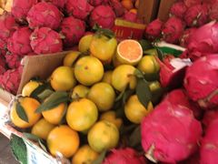 -港华水果街(港华广场店)