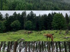 -硗碛藏寨·神木垒景区