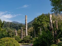 -深圳仙湖植物园