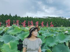 -毛泽东才溪乡调查旧址景区