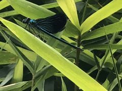 -贵阳市花溪国家城市湿地公园