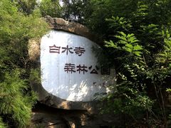 -白水寺森林公园