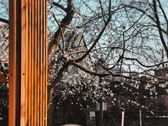 -春风习习