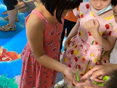 -上海昆虫博物馆