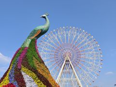 -七彩云南欢乐世界