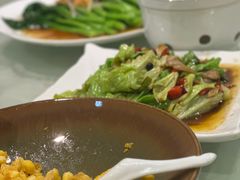 -金熊猫川菜餐厅
