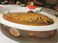 红烧黄河大鲤鱼-阿五黄河大鲤鱼(英协路店)