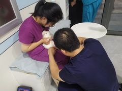 -中农国际动物医院24小时·猫科·骨科·急重症中心