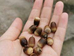 -南京市无想山景区