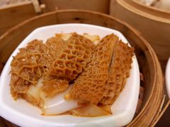 沙爹柱侯金钱肚-龙的酒楼·手工早茶·顺德菜(近良路店)