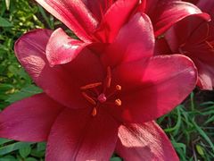 -长春公园(普阳街道)