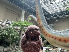 -国家自然博物馆