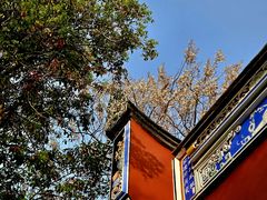 -乌山风景区