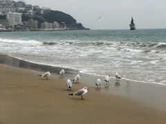 -海云台海滩