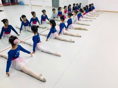 -小芳舞蹈团·少儿舞蹈·中国舞(龙江校区)
