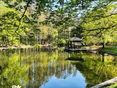 -上海共青森林公园